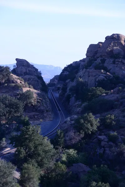 DSC_2090 (Large).JPG